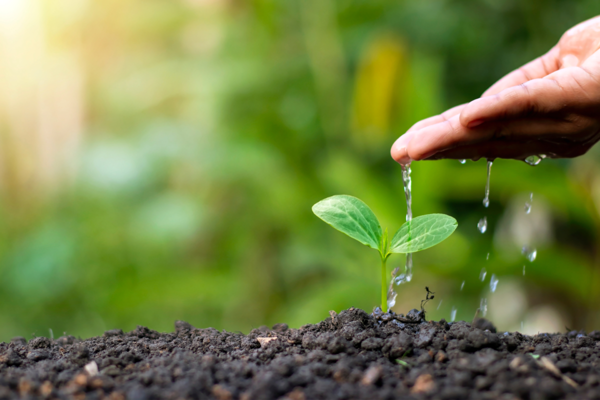 Environmental Health